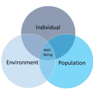Venn diagram of the crossover of individual well-being, environmental well-being and the population.