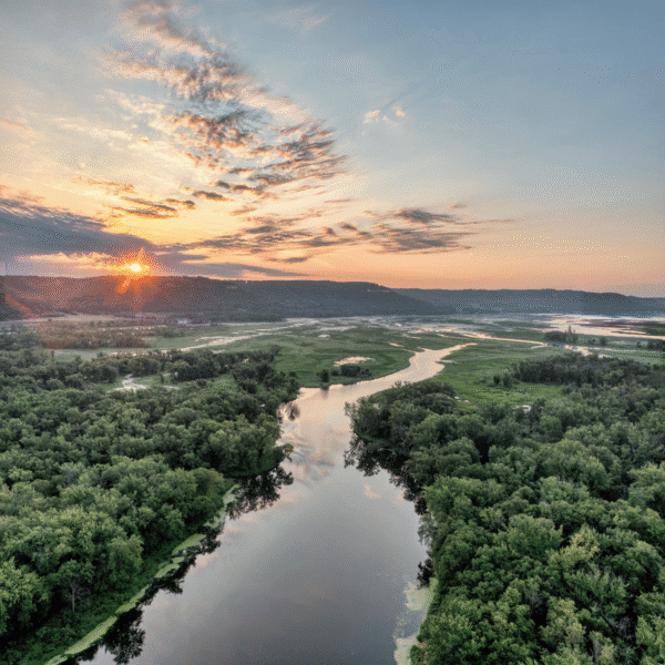 Scenic Sunrise Over Mississippi River in Minnesota - aerial view of a winding river between many trees, with a sunrise in the background
