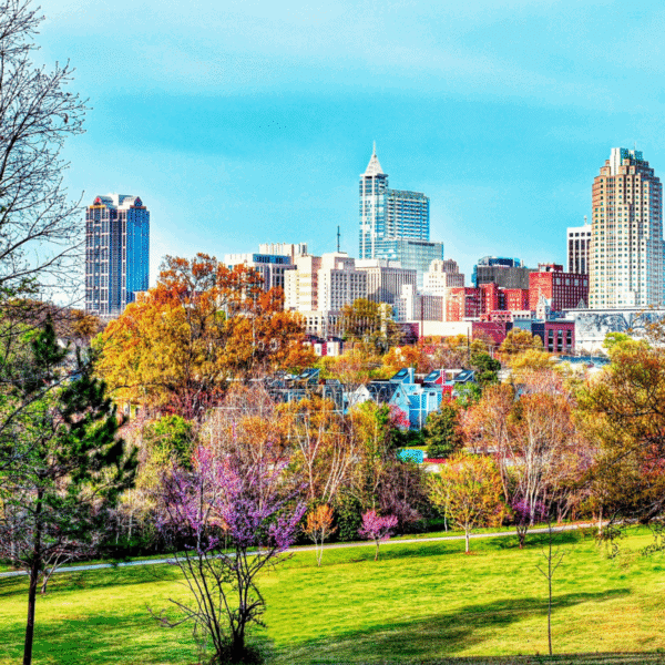 Raleigh, North Carolina, skyline and trees