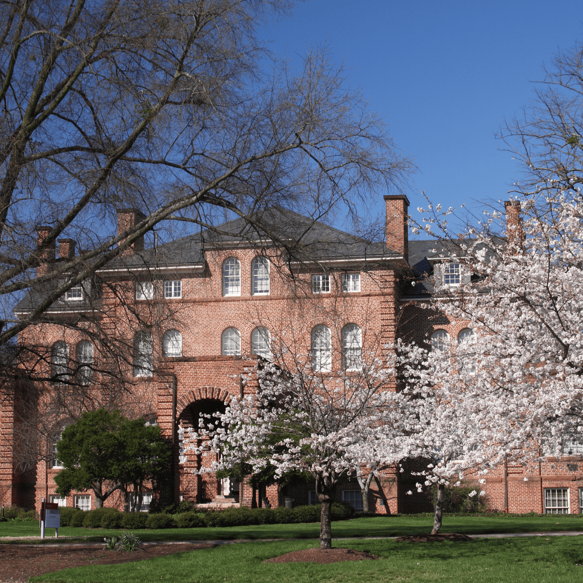 View of building on NC State Campus