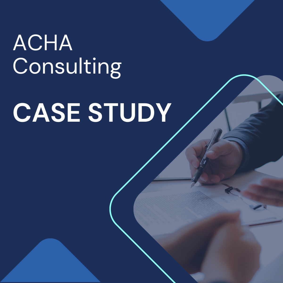 Consulting Case Study Option 3