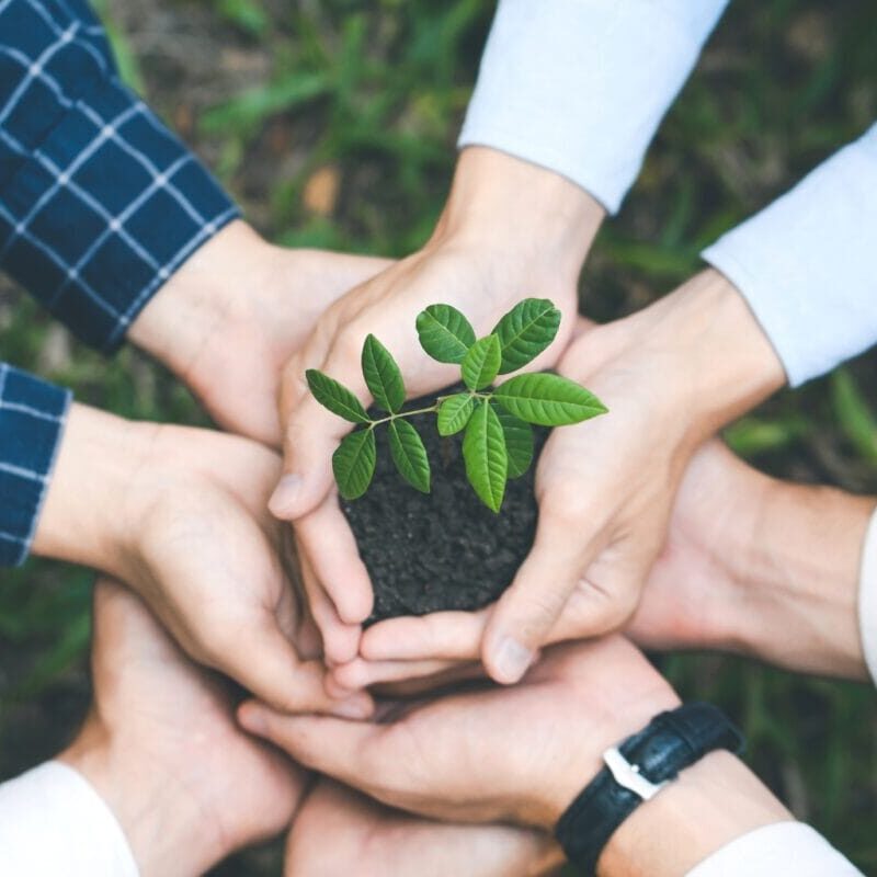 A group people collectively holding a new young plant and soil