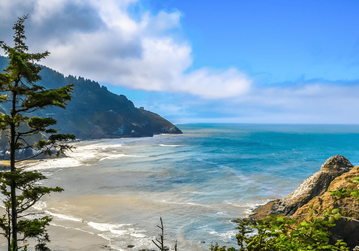 Oregon Coast - elevated view of a Pacific Ocean beach and tree-covered coastline, with blue sky and clouds in the background