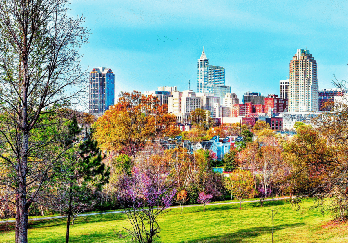Raleigh, North Carolina, skyline and trees
