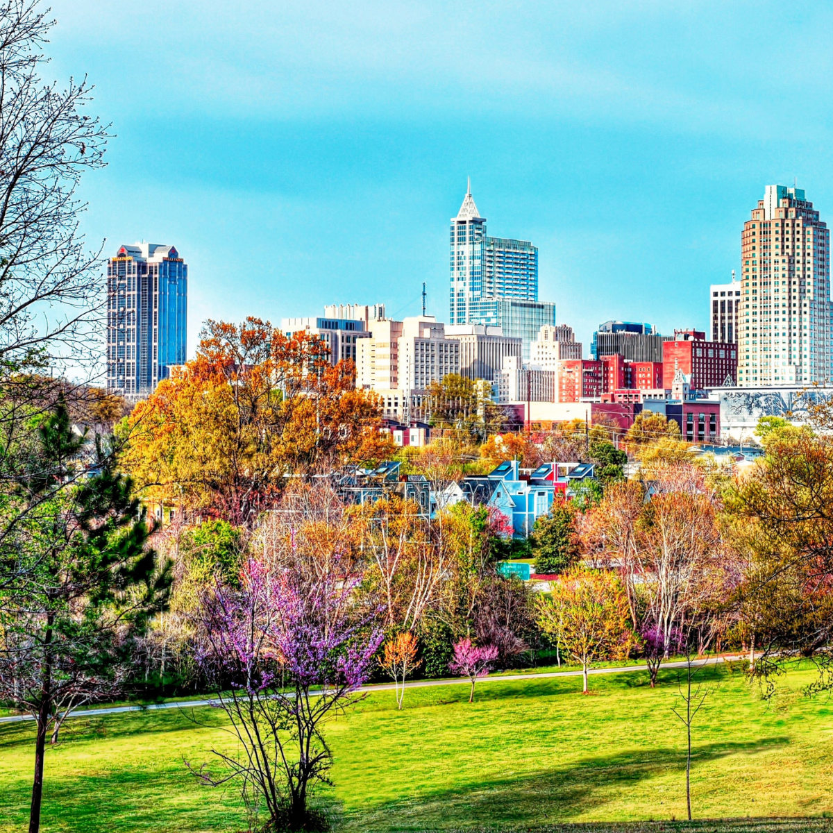 Raleigh, North Carolina, skyline and trees